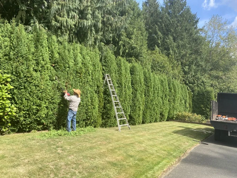 Professional yard maintenance experts serving Marysville, WA - Landscaping Ramirez
