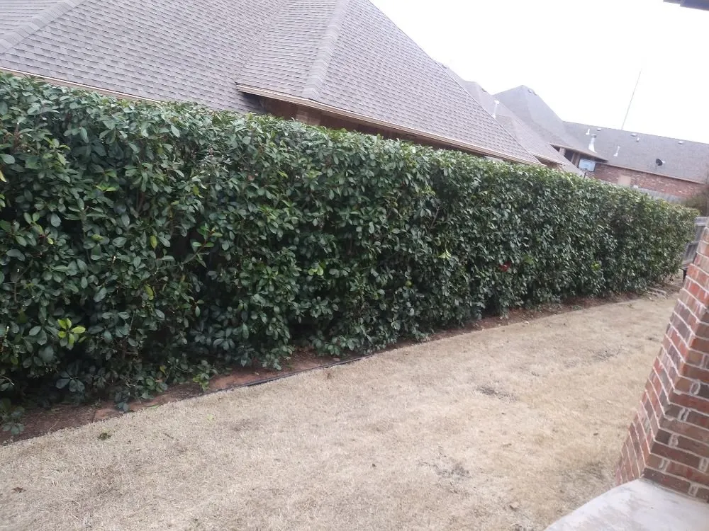 Local lawn care service in Oklahoma City, OK - Landscaping Ramirez