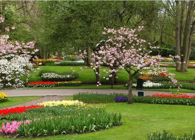 Reliable landscape design experts serving Oklahoma City, OK - Landscaping Ramirez