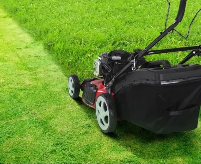 Top-rated yard maintenance for outdoor upgrades across Oklahoma City, OK - Landscaping Ramirez