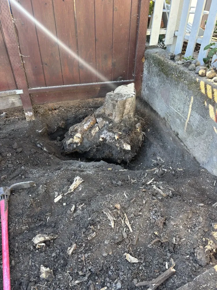 Custom yard maintenance experts serving San Pablo, CA - Landscaping Ramirez