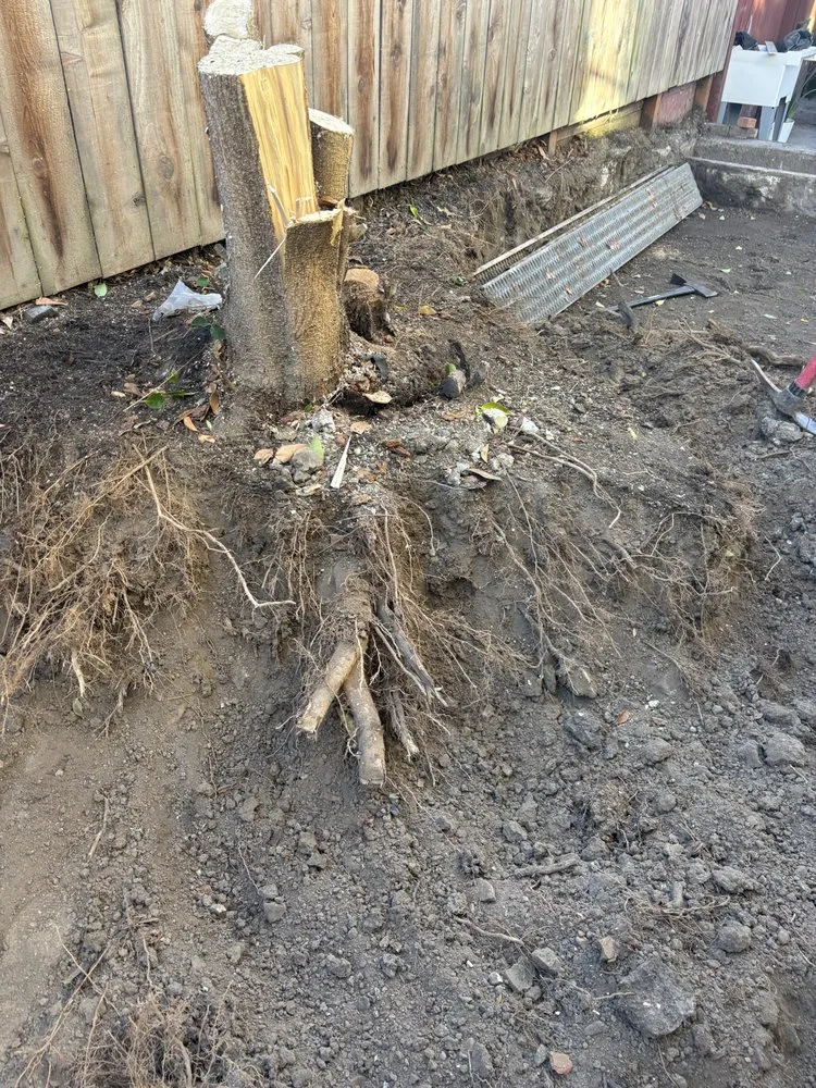 Custom outdoor landscaping for beautiful yards across San Pablo, CA - Landscaping Ramirez