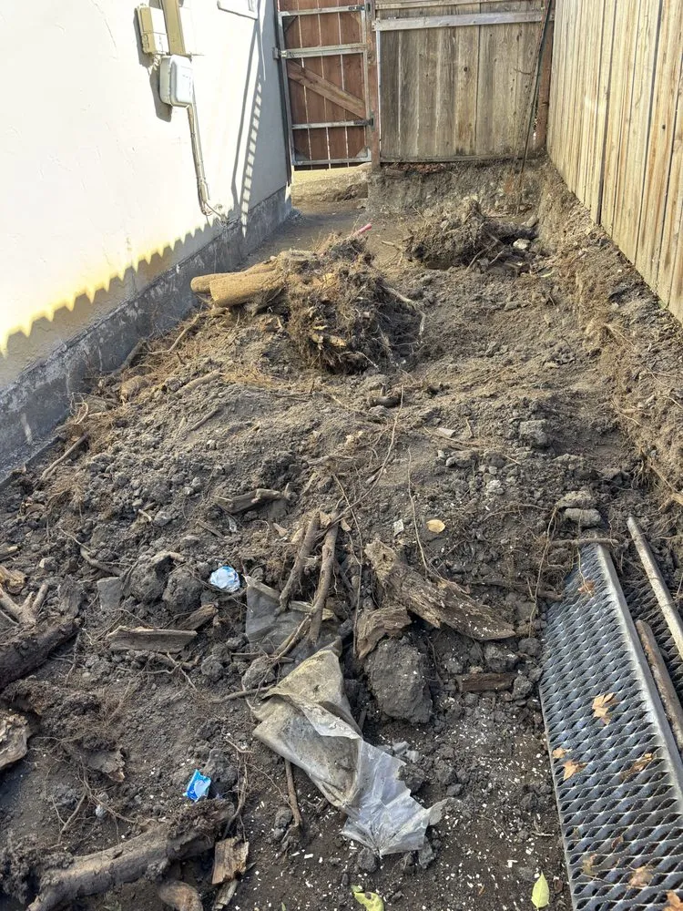 Trusted yard cleanup service in San Pablo, CA - Landscaping Ramirez