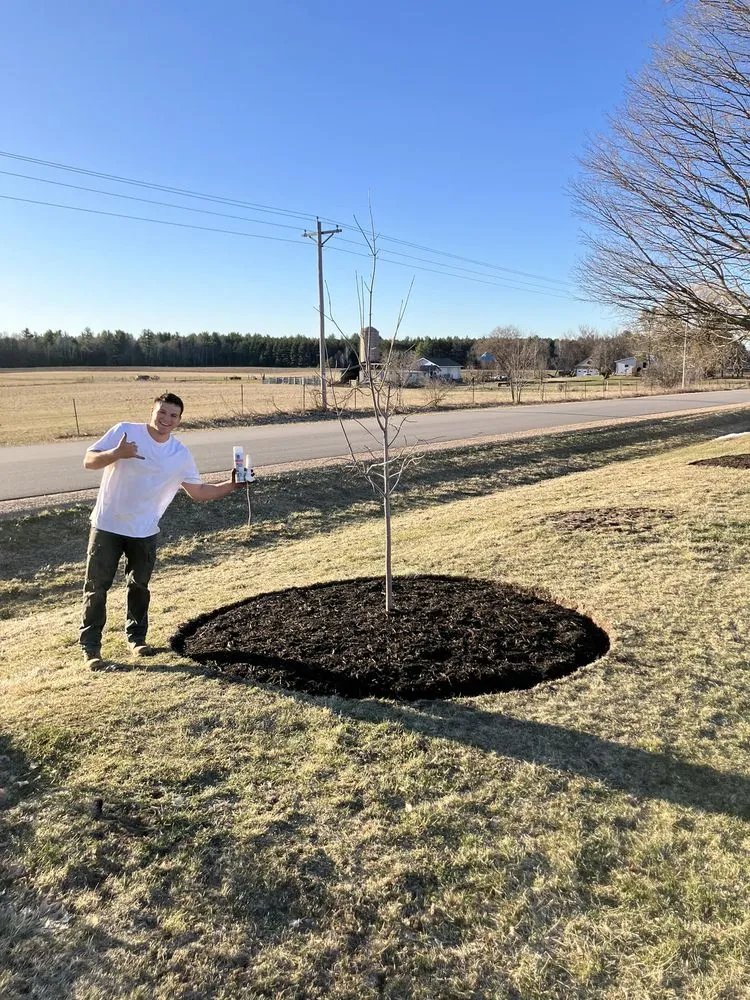 Affordable landscape design with custom design across Gillett, WI - Landscaping Restoration