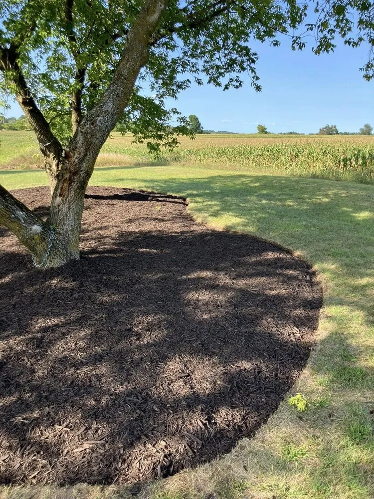 Local landscape design experts serving Gillett, WI - Landscaping Restoration