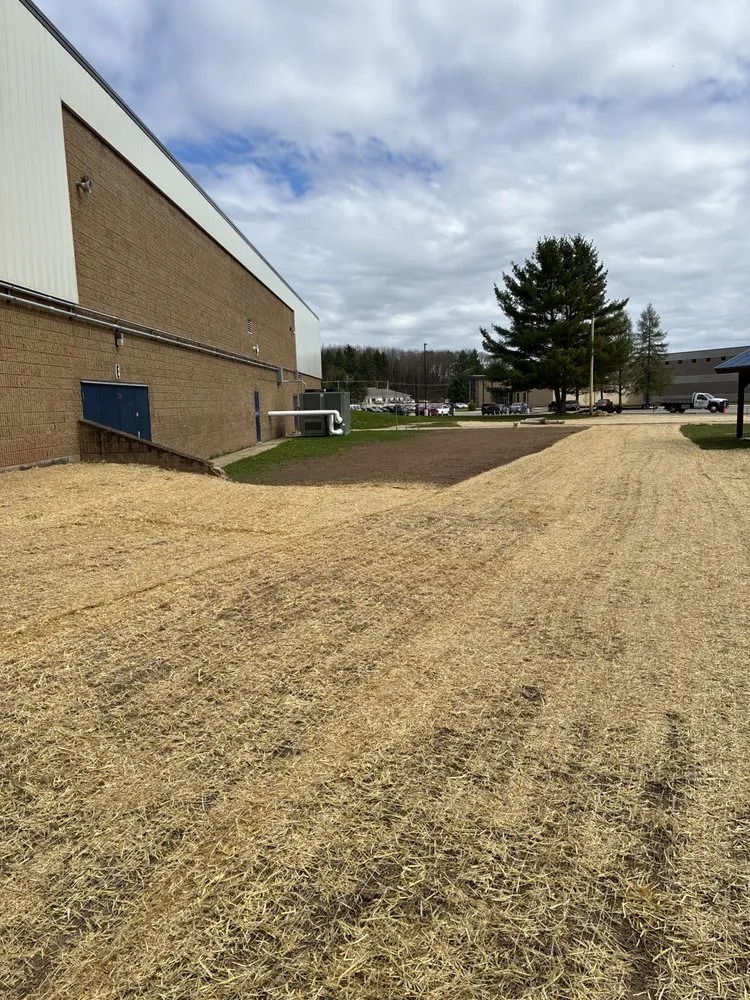 Affordable landscaping services in Gillett, WI - Landscaping Restoration