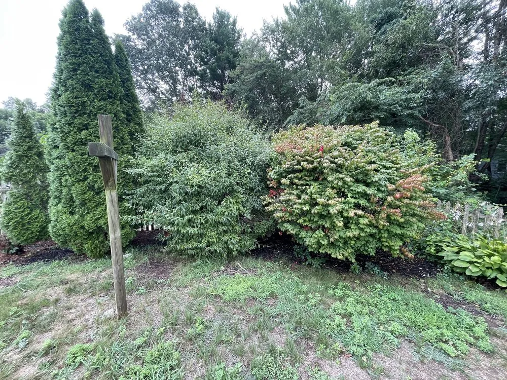 Affordable lawn care service in West Warwick, RI by Landscaping RI