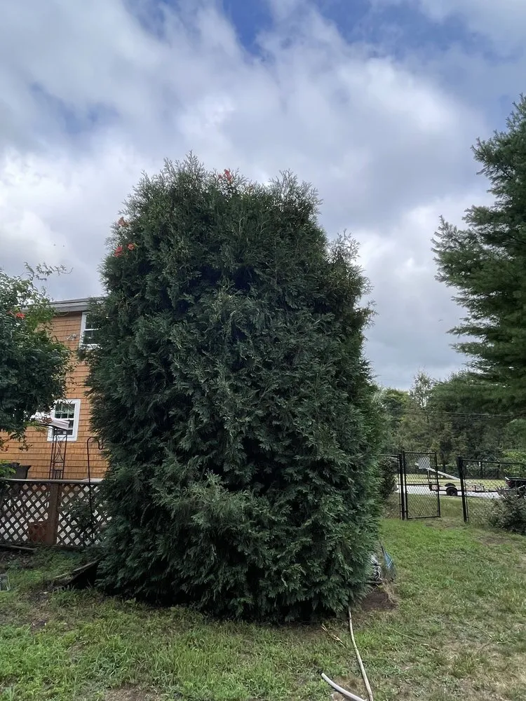 Expert yard maintenance for year-round maintenance across West Warwick, RI - Landscaping RI