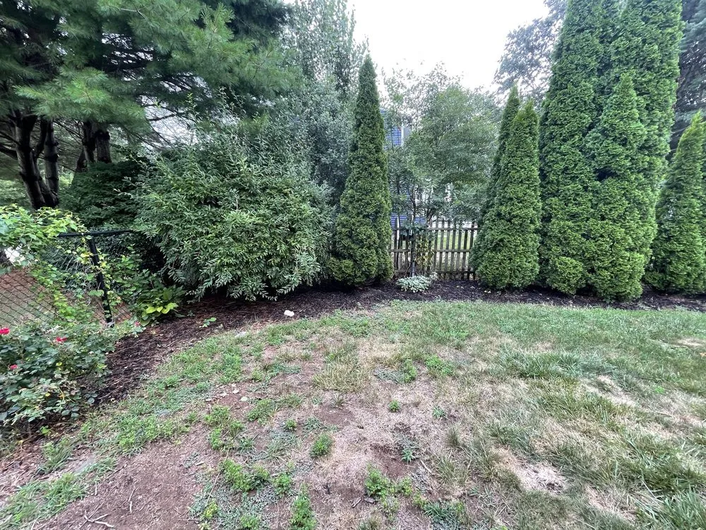 Professional lawn care service for year-round maintenance across West Warwick, RI - Landscaping RI