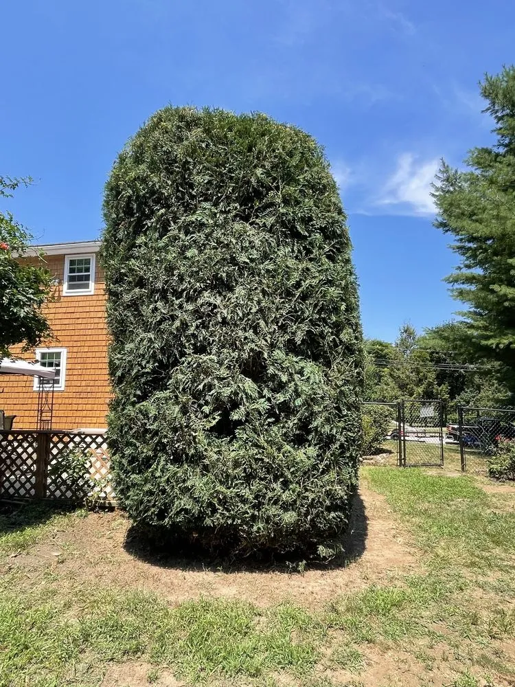 Local outdoor landscaping in West Warwick, RI - Landscaping RI