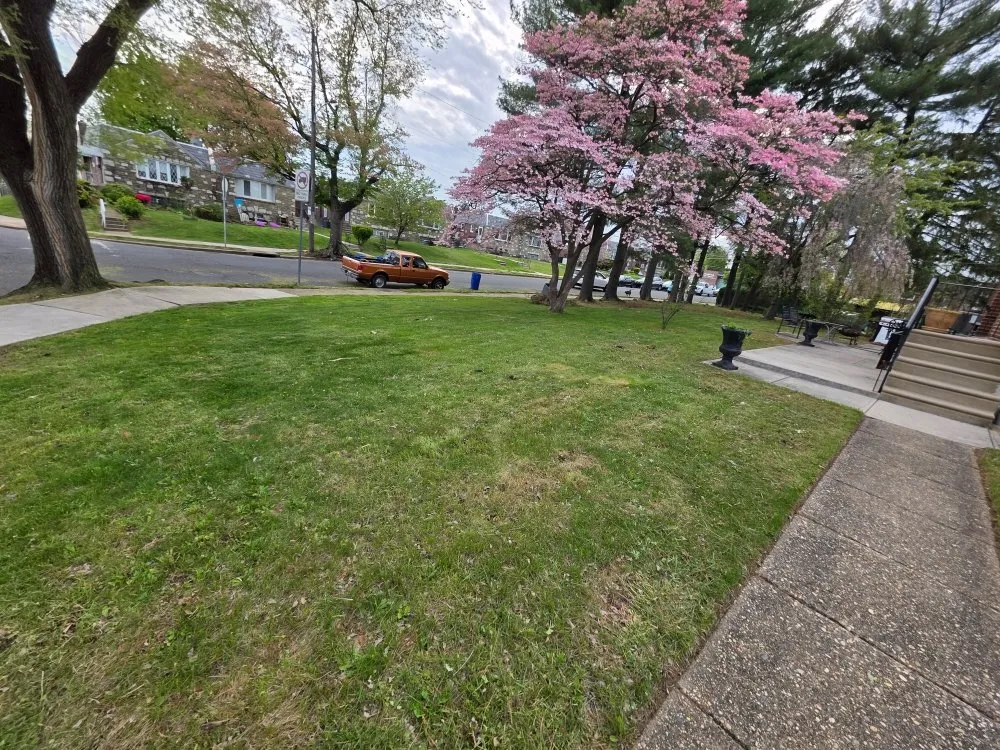 Reliable outdoor landscaping for year-round maintenance across Philadelphia, PA - Landscaping RJ