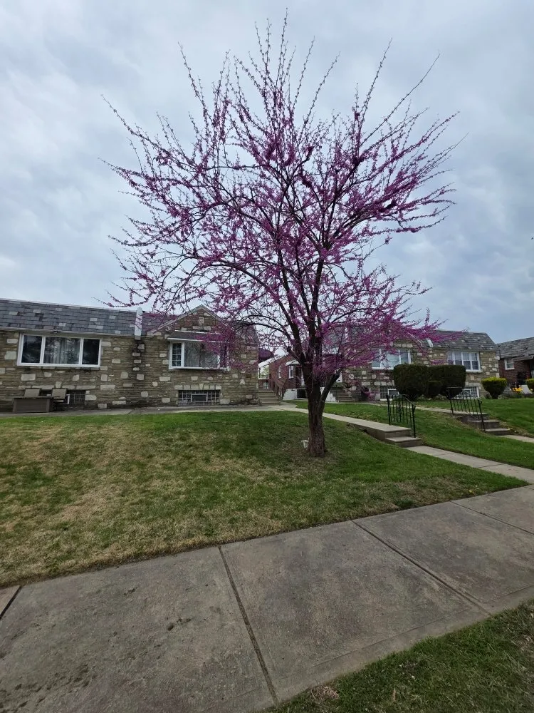 Expert landscaping services for outdoor upgrades across Philadelphia, PA - Landscaping RJ