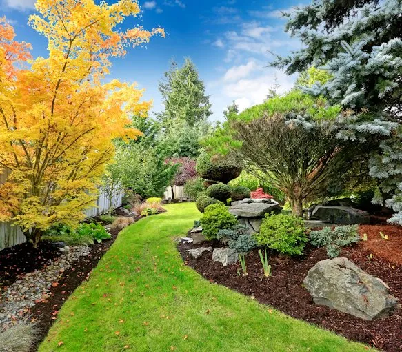 Expert landscape installation in Round Rock, TX by Landscaping Round Rock