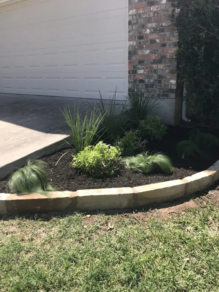 Professional lawn care service in Round Rock, TX - Landscaping Round Rock