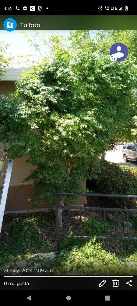 Trusted landscaping services in Sacramento, CA - Landscaping Sacramento