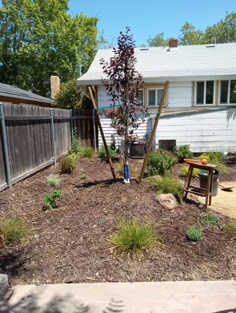 Expert residential landscaping near you in Sacramento, CA by Landscaping Sacramento