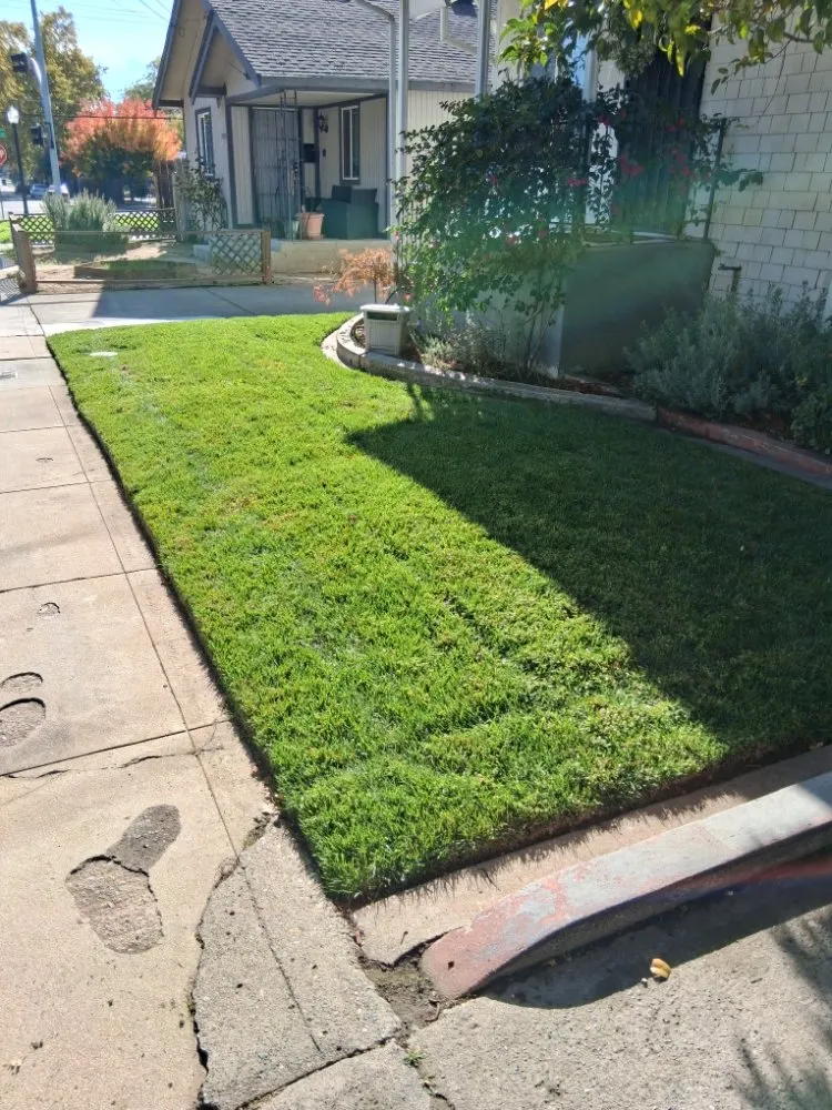 Trusted yard maintenance in Sacramento, CA - Landscaping Sacramento