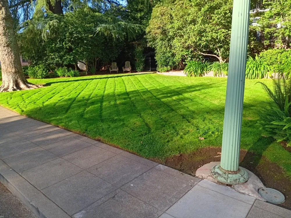 Reliable garden landscaping for beautiful yards across Sacramento, CA - Landscaping Sacramento