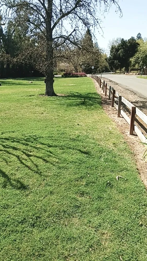 Expert landscape installation in Sacramento, CA - Landscaping Sacramento