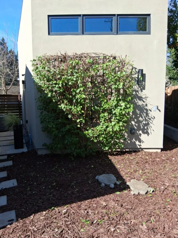 Top-rated yard maintenance experts serving Sacramento, CA - Landscaping Sacramento