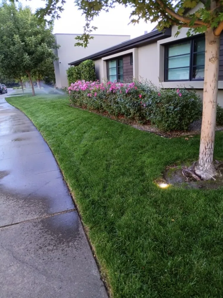 Affordable landscape installation experts serving Sacramento, CA - Landscaping Sacramento