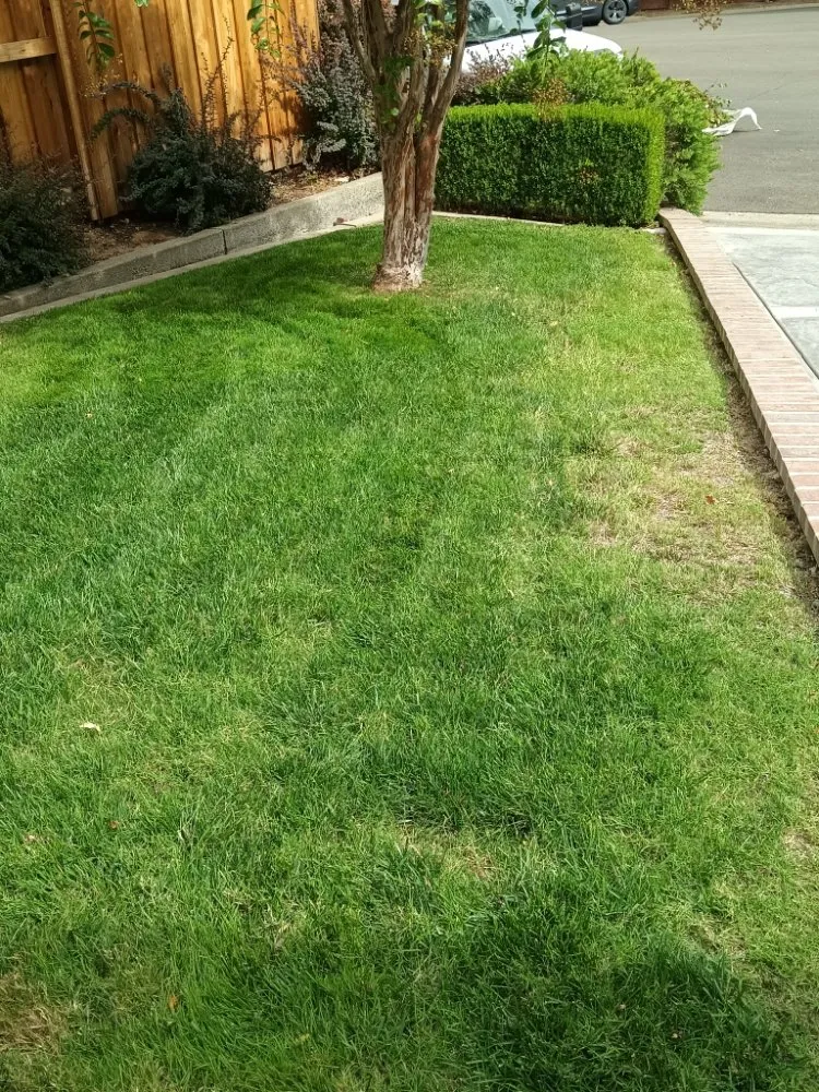 Trusted landscape design in Sacramento, CA by Landscaping Sacramento