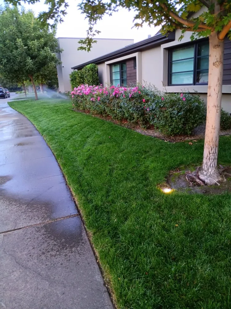 Affordable landscaping services for outdoor upgrades across Sacramento, CA - Landscaping Sacramento