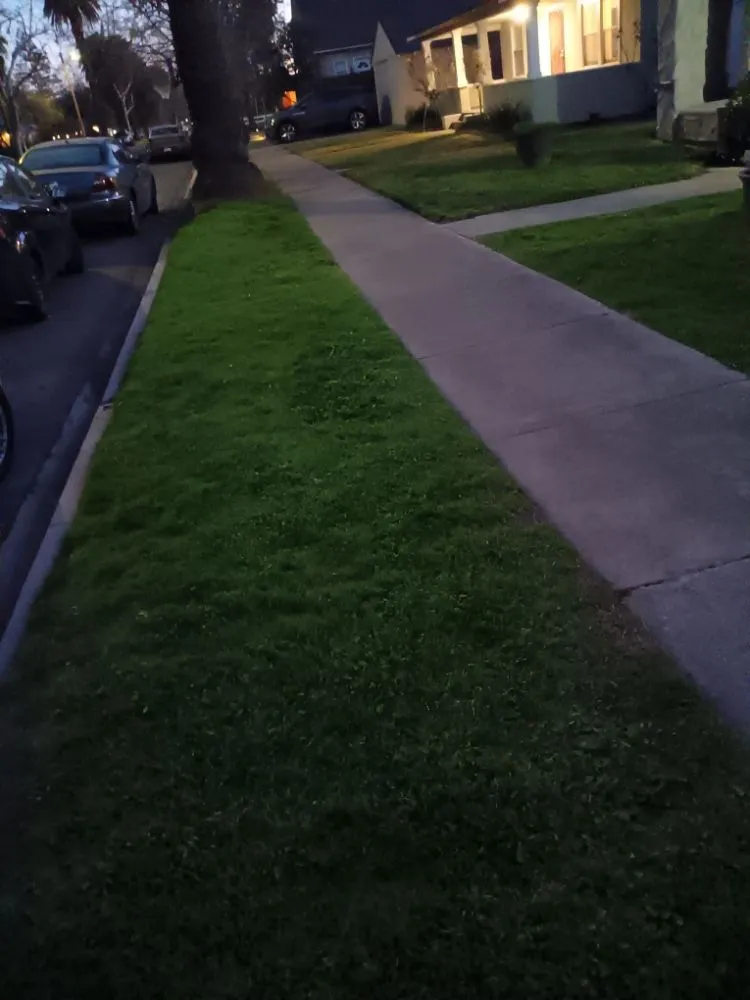 Professional landscape design for year-round maintenance across Sacramento, CA - Landscaping Sacramento