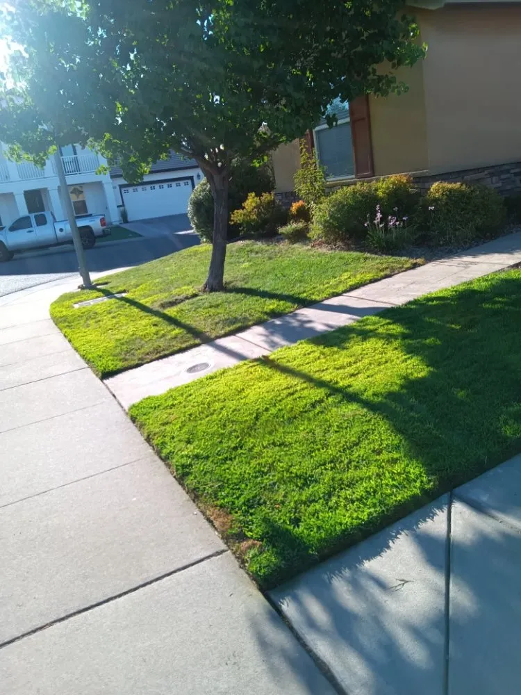 Reliable lawn mowing service experts serving Sacramento, CA - Landscaping Sacramento