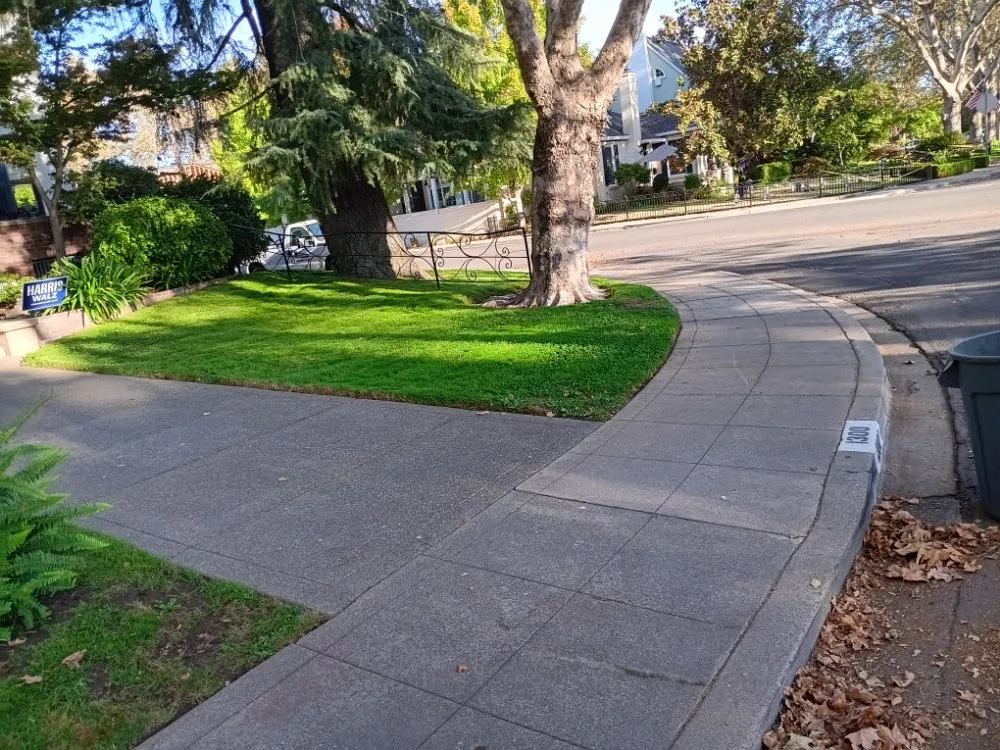 Expert garden landscaping in Sacramento, CA - Landscaping Sacramento