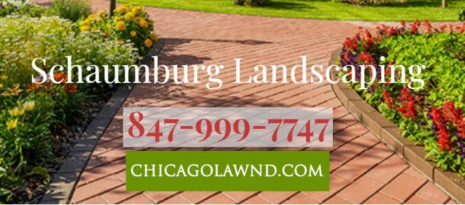 Local lawn mowing service for beautiful yards across Hoffman Estates, IL - Landscaping Schaumburg