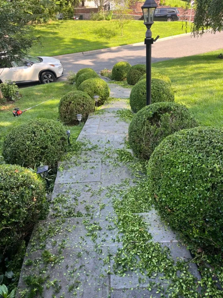 Custom outdoor landscaping in Sands Point, NY by Landscaping Service MHM