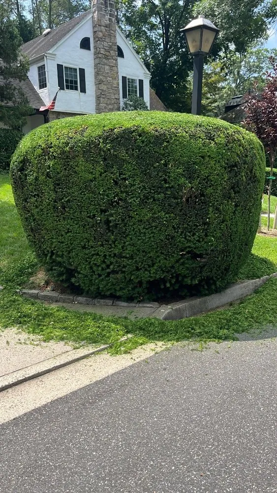 Reliable yard maintenance near you across Sands Point, NY - Landscaping Service MHM