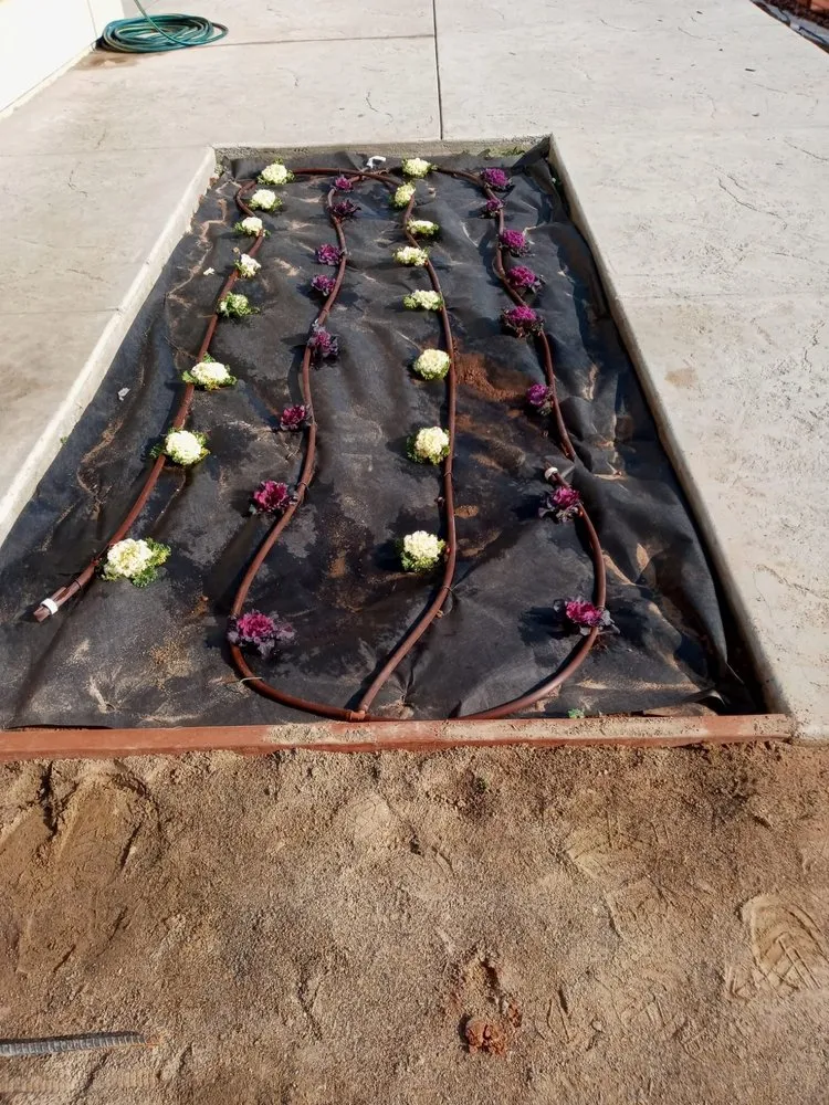 Expert outdoor landscaping for year-round maintenance in Atwater, CA by Landscaping Service Superiors