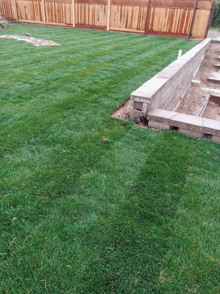 Professional landscaping services experts serving Atwater, CA - Landscaping Service Superiors