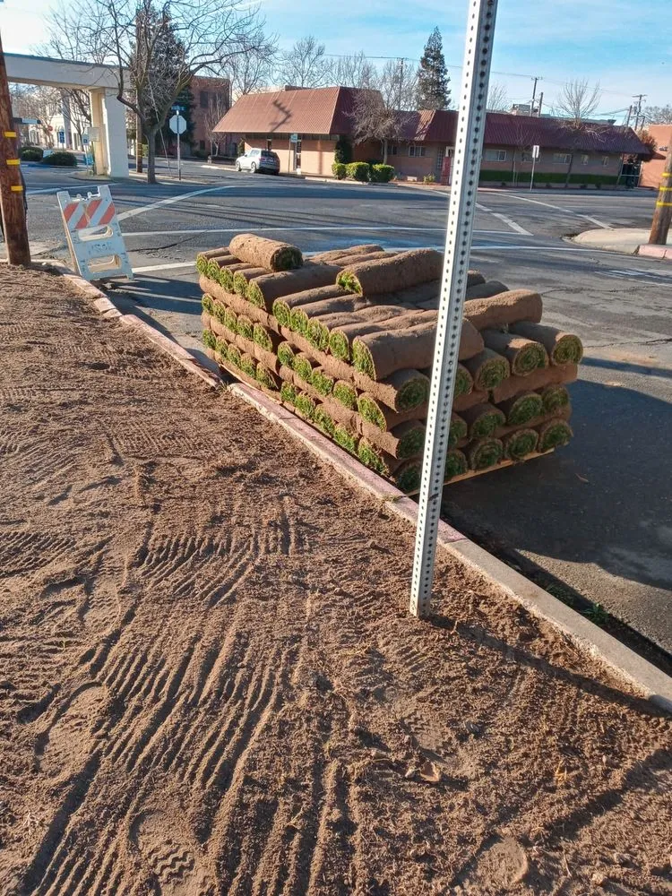 Affordable yard maintenance for beautiful yards across Atwater, CA - Landscaping Service Superiors