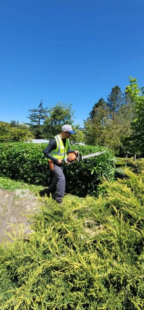 Expert landscape design experts serving Rohnert Park, CA - Landscaping Services By Antonio