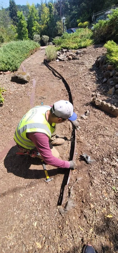 Local yard cleanup service for beautiful yards across Rohnert Park, CA - Landscaping Services By Antonio