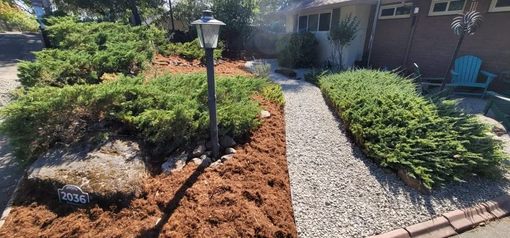 Professional landscape design in Rohnert Park, CA by Landscaping Services By Antonio