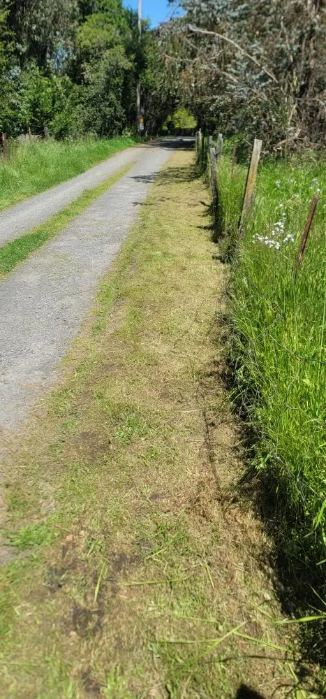 Affordable garden landscaping for outdoor upgrades in Rohnert Park, CA by Landscaping Services By Antonio