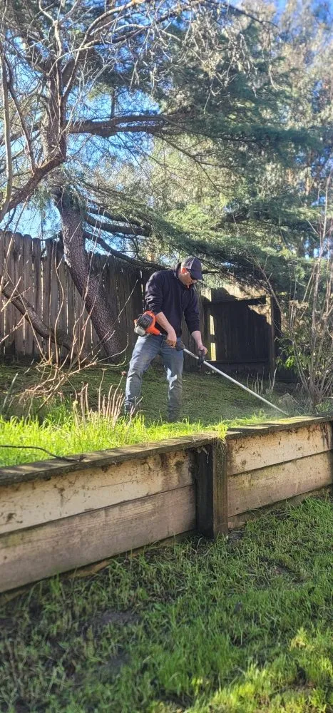 Trusted yard cleanup service in Rohnert Park, CA - Landscaping Services By Antonio