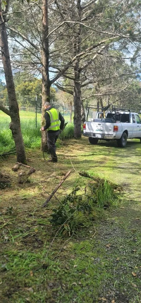 Local yard cleanup service for outdoor upgrades in Rohnert Park, CA by Landscaping Services By Antonio