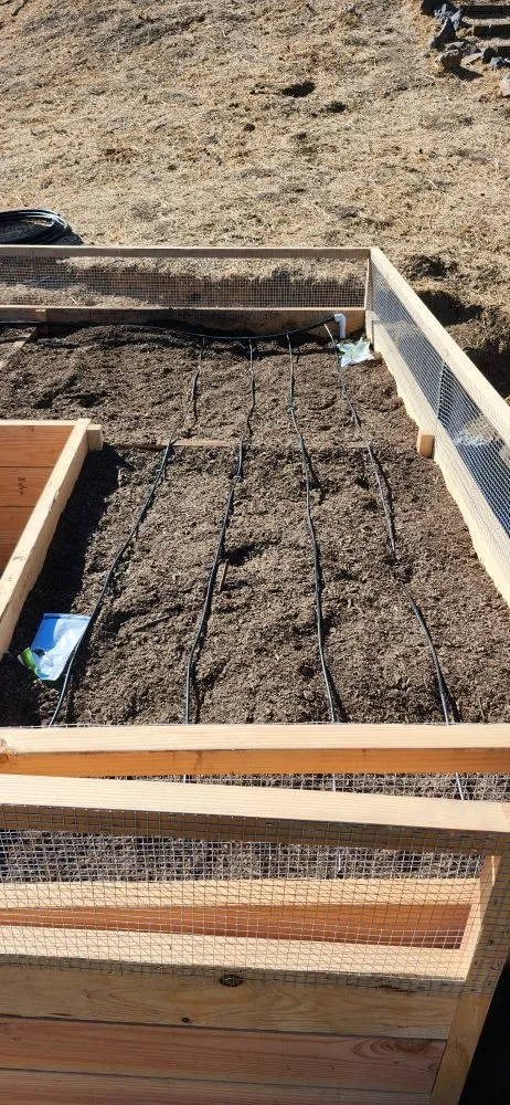 Trusted yard cleanup service experts serving Rohnert Park, CA - Landscaping Services By Antonio