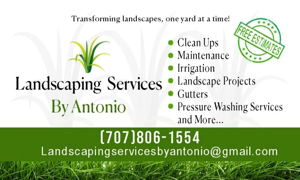 Local residential landscaping in Rohnert Park, CA by Landscaping Services By Antonio