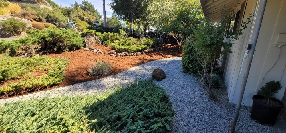Expert landscape design near you across Rohnert Park, CA - Landscaping Services By Antonio