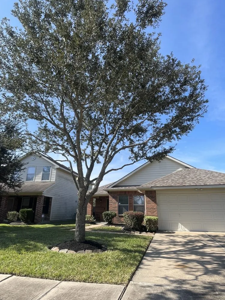 Professional landscaping services experts serving Houston, TX - Landscaping Services By Francisco