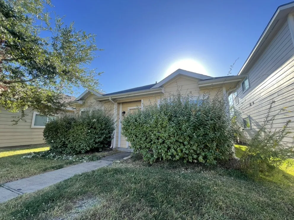 Affordable yard cleanup service with custom design in Houston, TX by Landscaping Services By Francisco