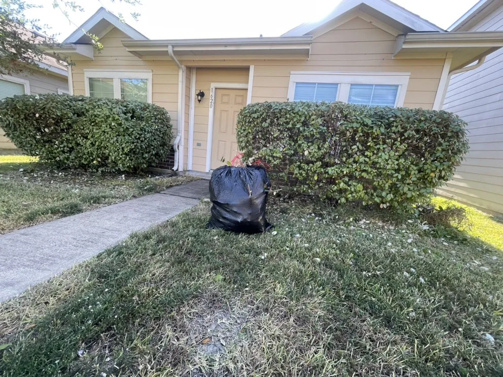 Top-rated yard cleanup service in Houston, TX - Landscaping Services By Francisco