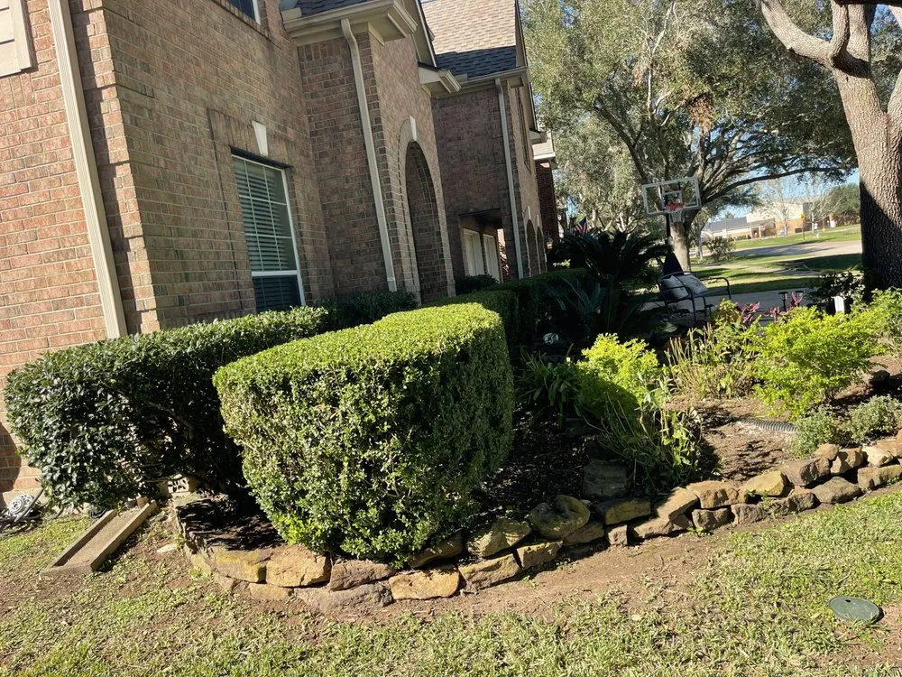 Expert landscaping services in Houston, TX by Landscaping Services By Francisco