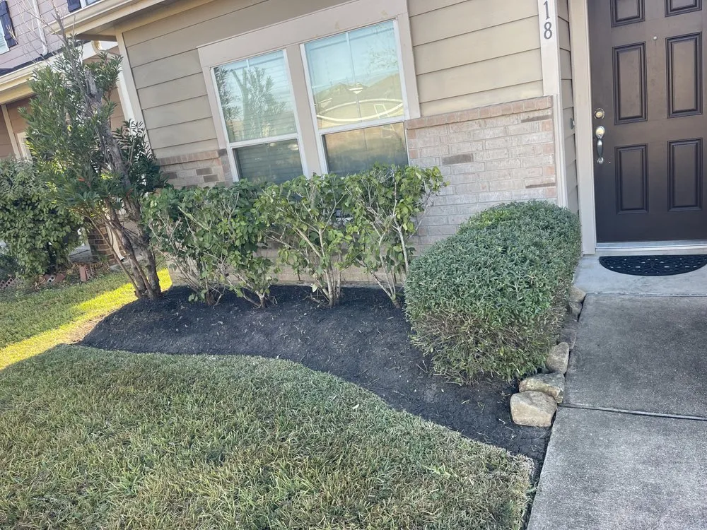 Reliable lawn care service experts serving Houston, TX - Landscaping Services By Francisco
